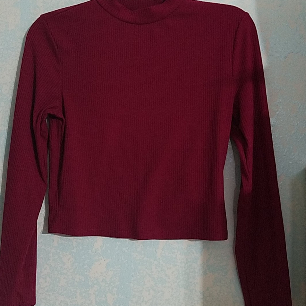 Ribbed crew neck cropped long sleeve